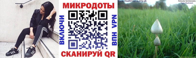 Галлюциногенные грибы MAGIC MUSHROOMS  Новосокольники 